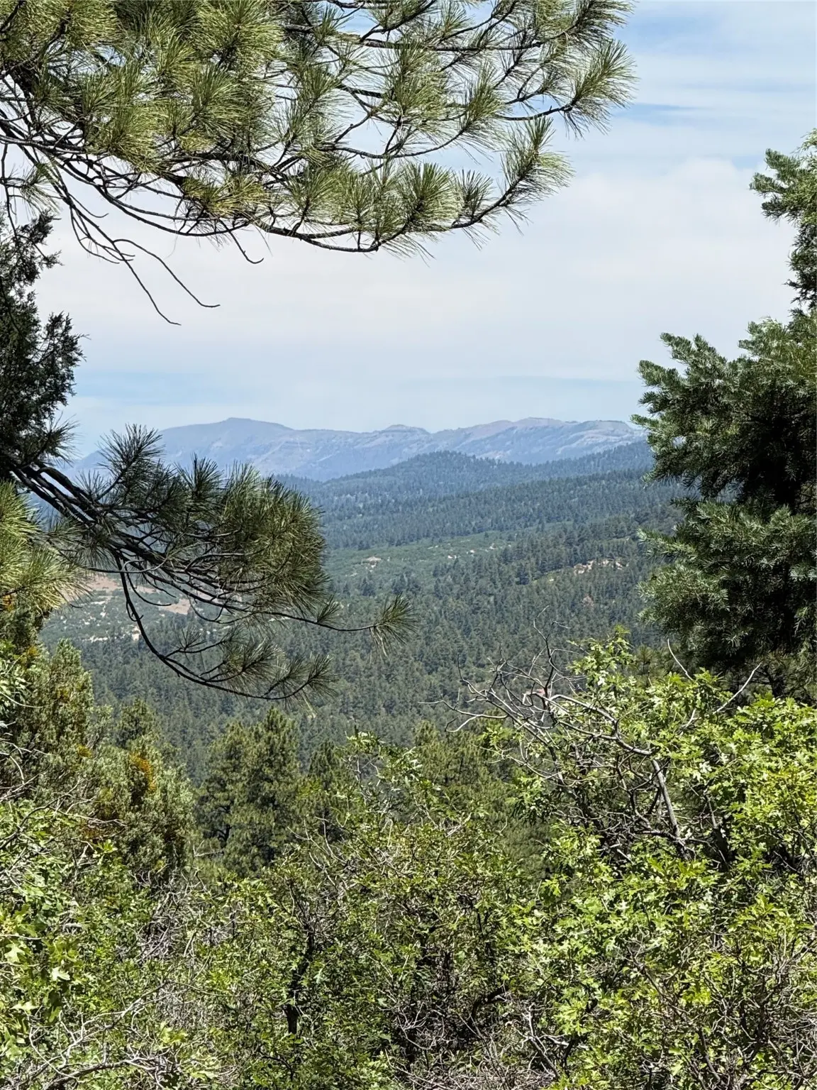 381 Buckman Rd, Chama