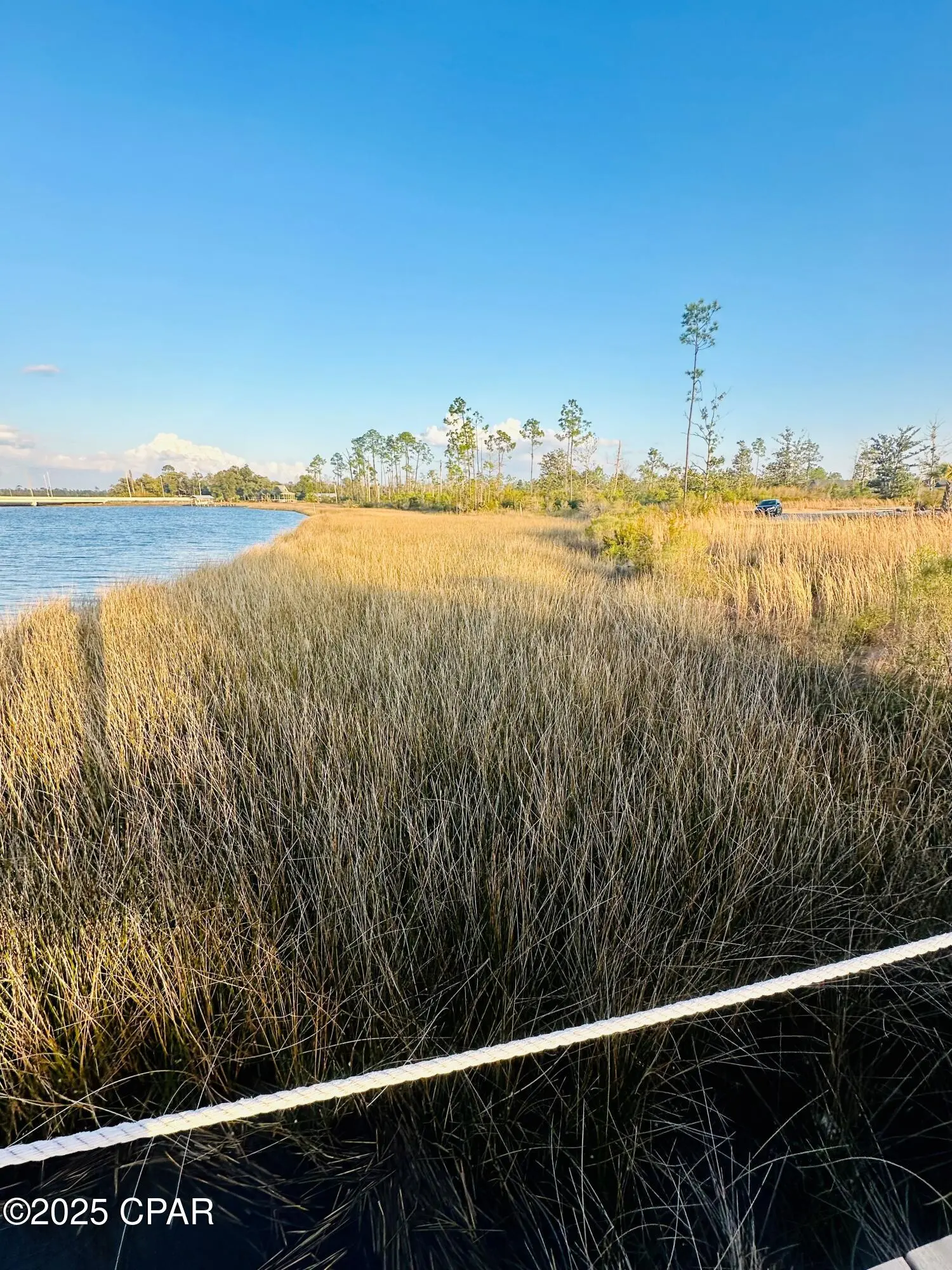Cooks Street, Panama City