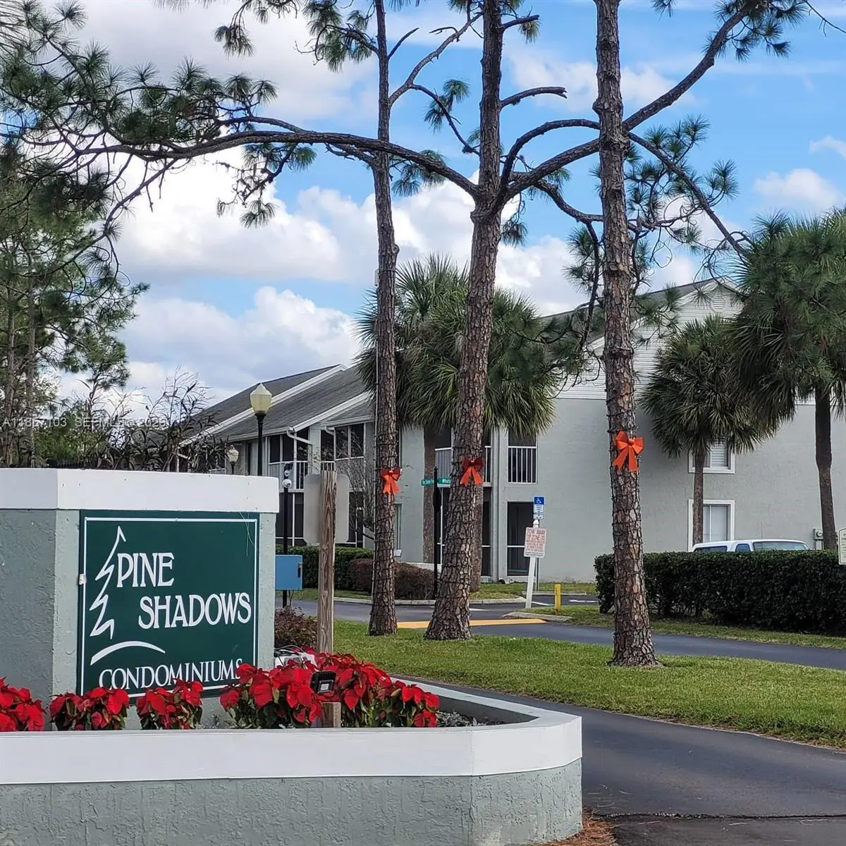 Photo of Listing #A11857103