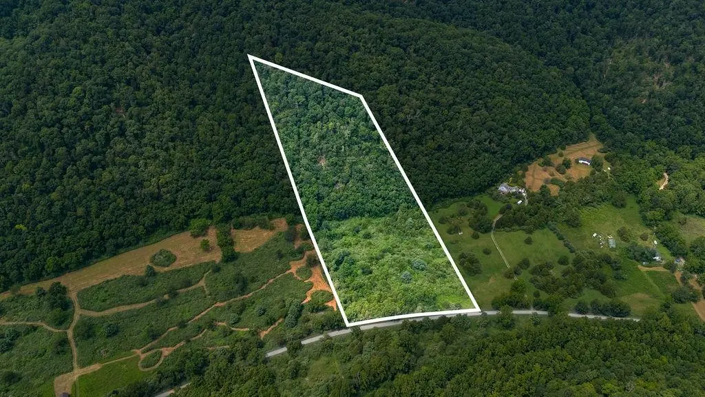 Tbd Cowpasture River Rd S, Williamsville