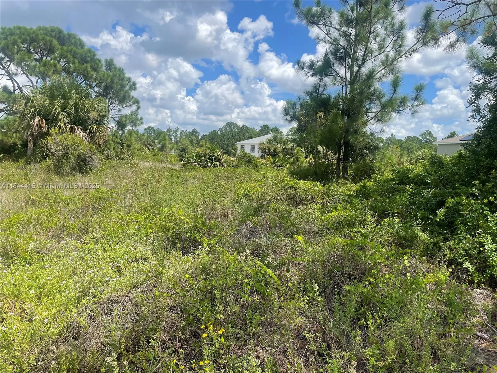 Photo of Listing #A11844415