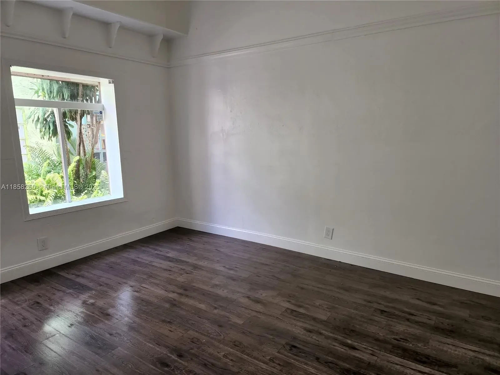 Photo of Listing #A11858250