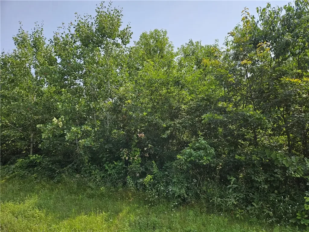 Xxx Trails End, Spooner