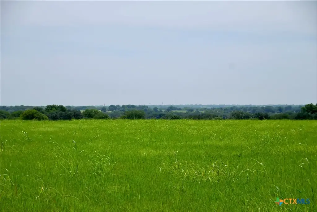Tract 4 Company Field Road, Schulenburg