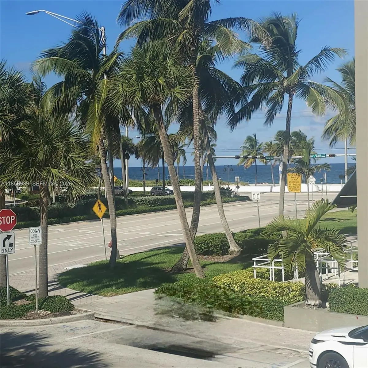 Photo of Listing #A11858989