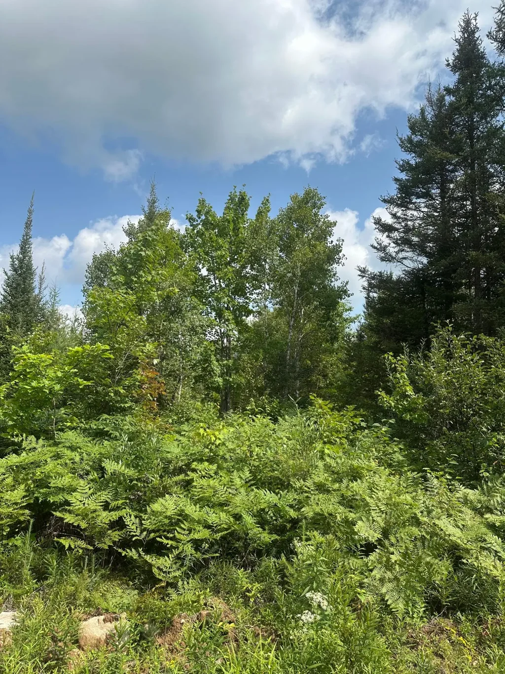 On Malvern Fire Ln, Rhinelander