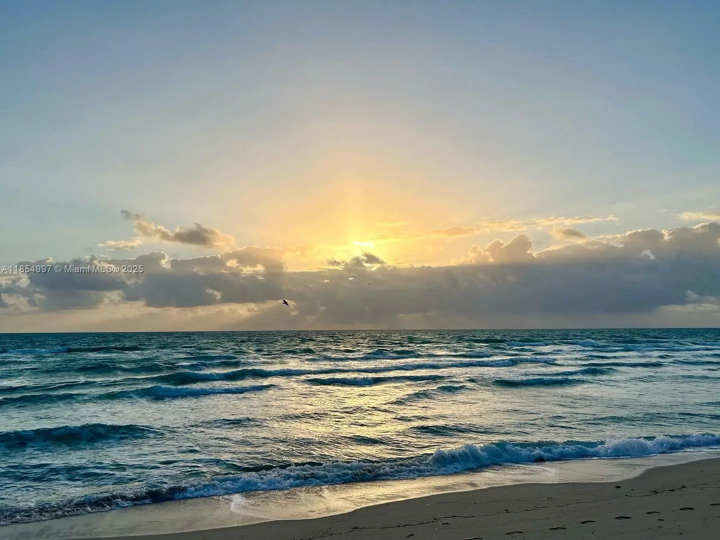 Photo of Listing #A11854997