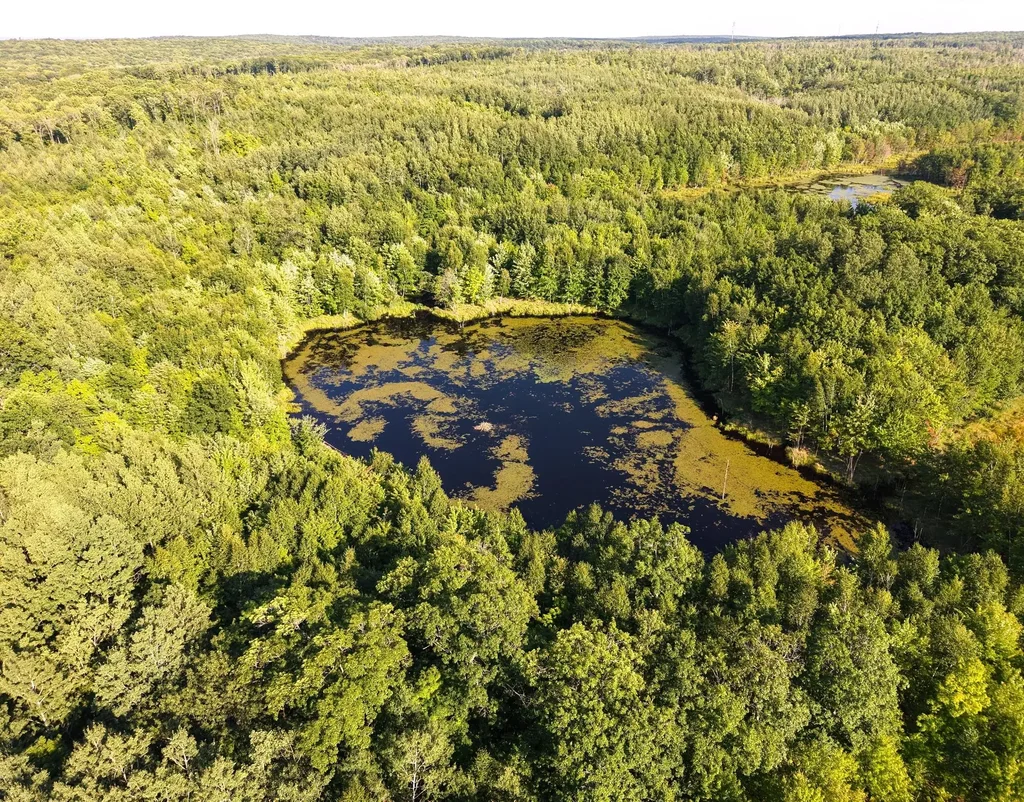 Parcel 3 West Y Rd, Exeland