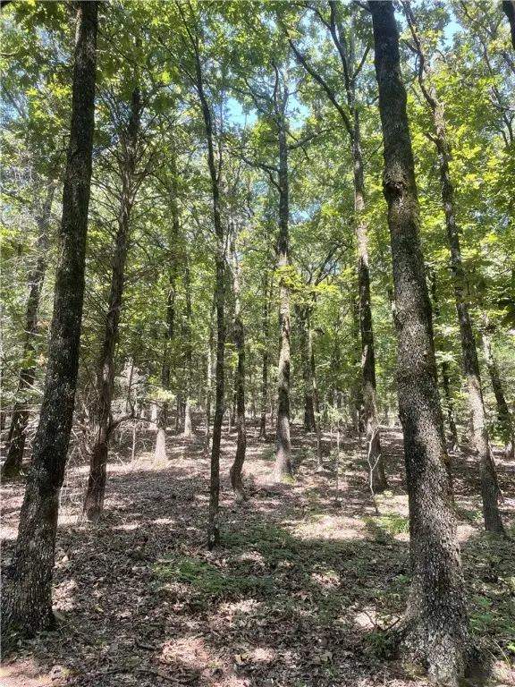 312. Cr 3222, Clarksville