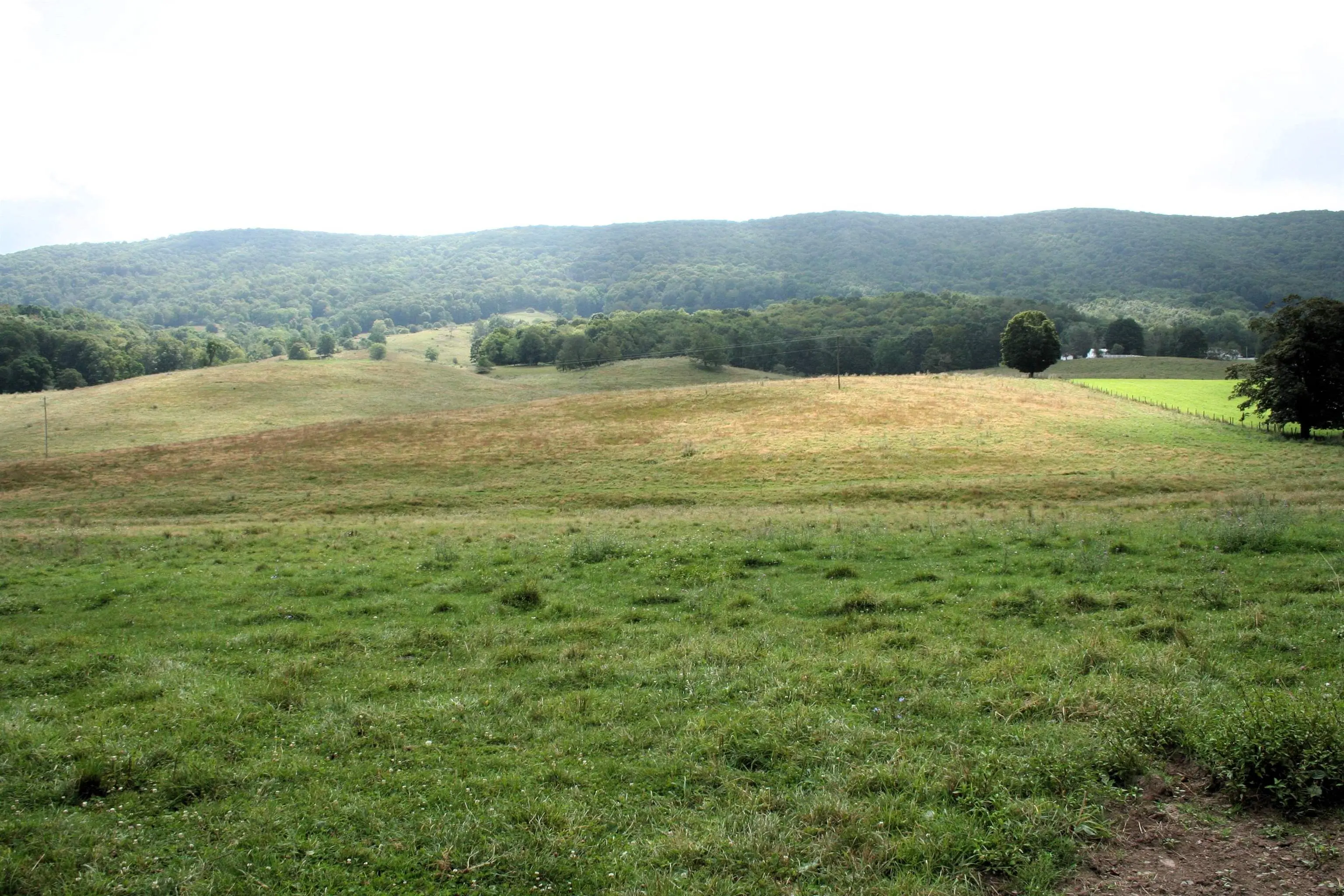 Tbd Mill Gap Rd, Monterey