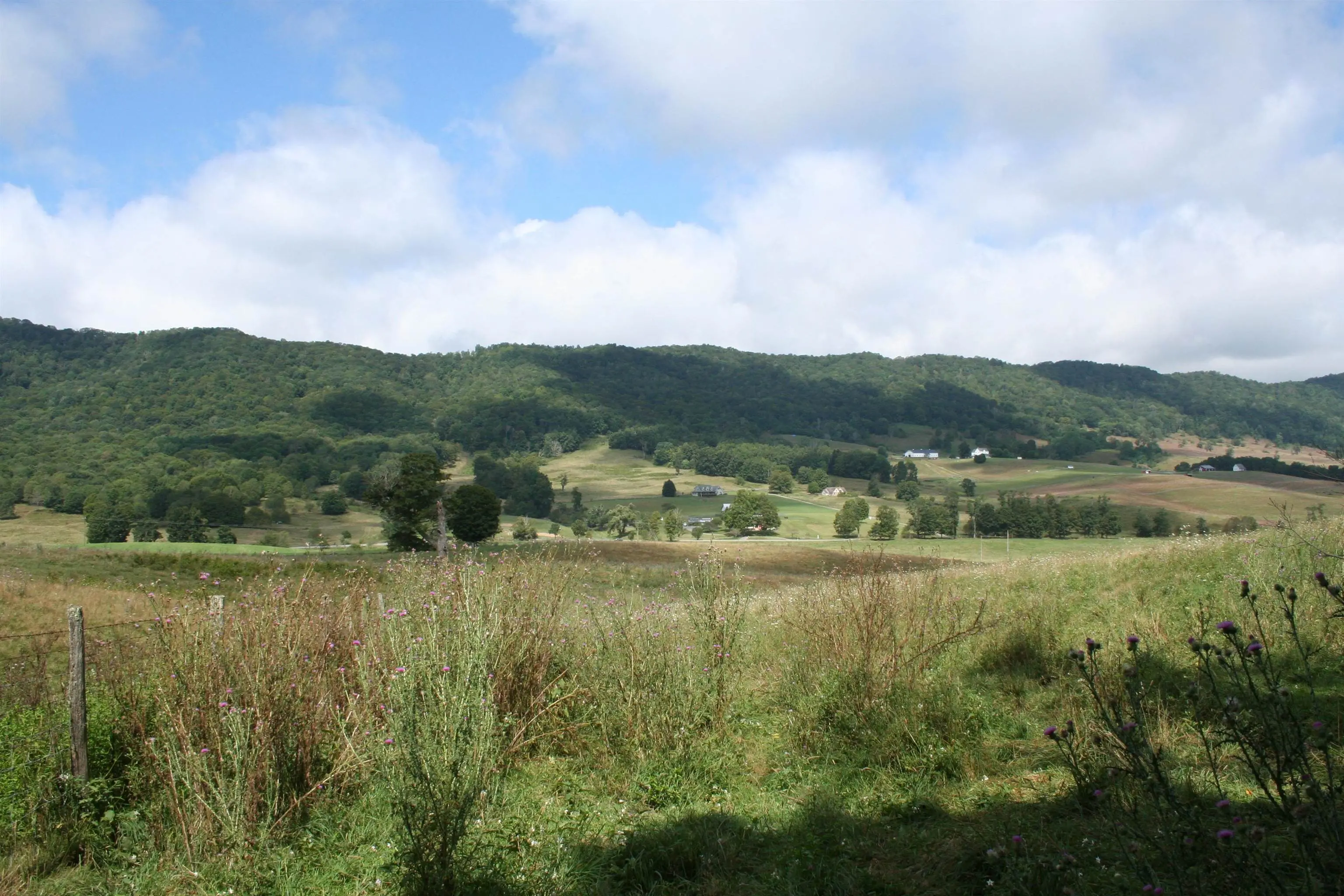 Tbd Mill Gap Rd, Monterey