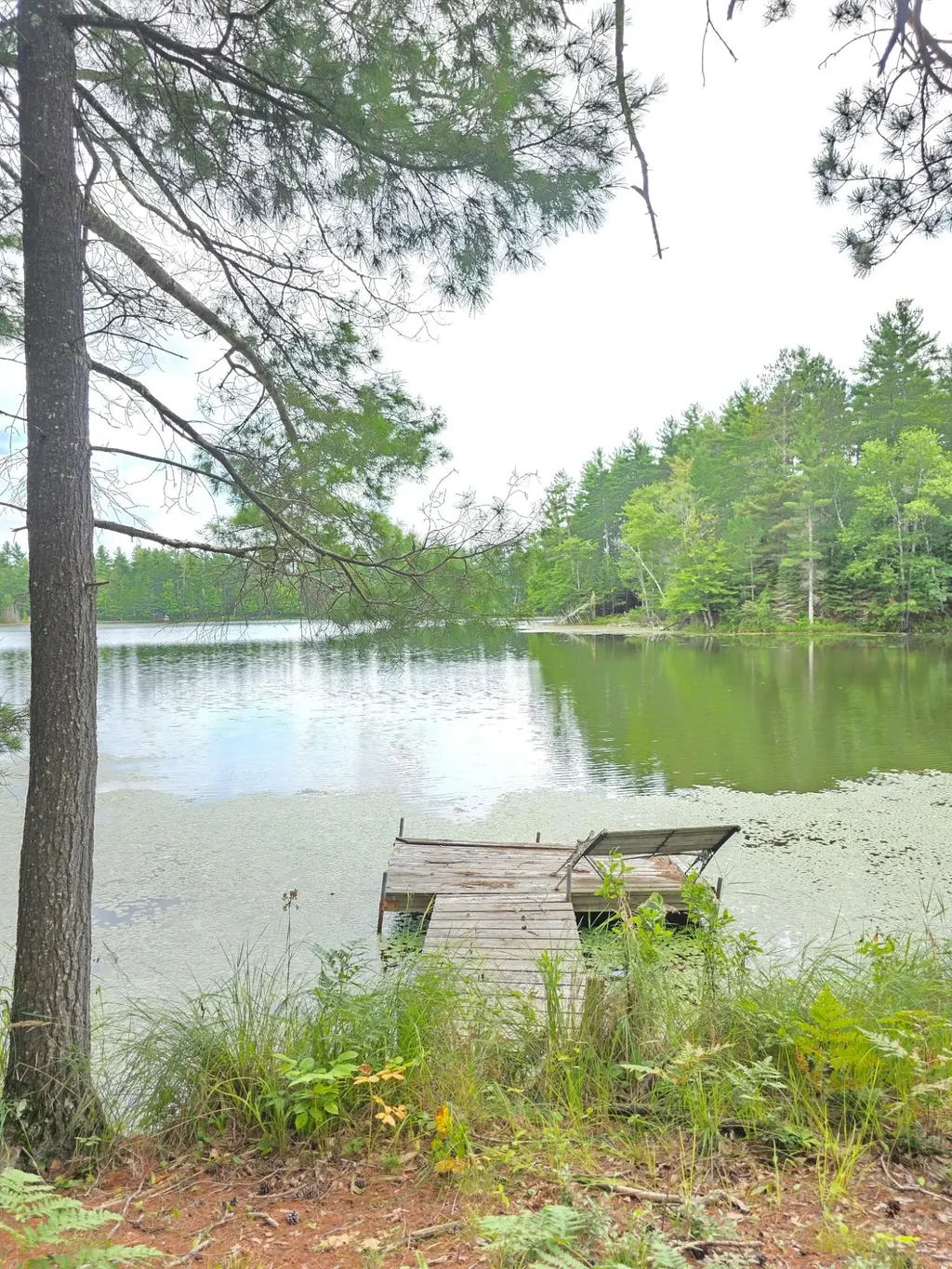 8659n Blue Gill Lake Rd, Winter