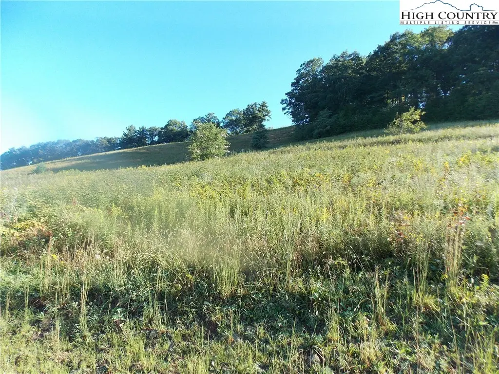 Lot 29 Hartley Knob, Boone