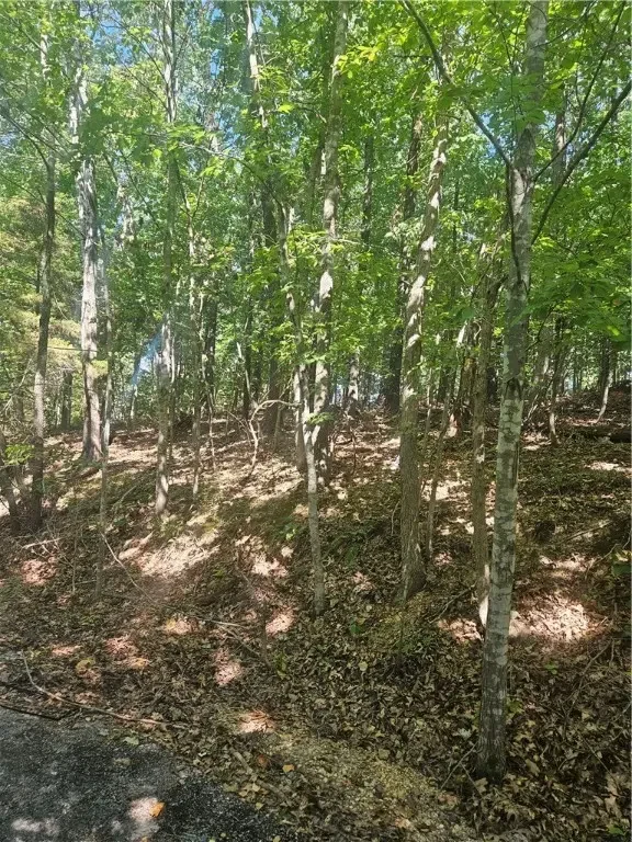 Selkirk Circle, Bella Vista