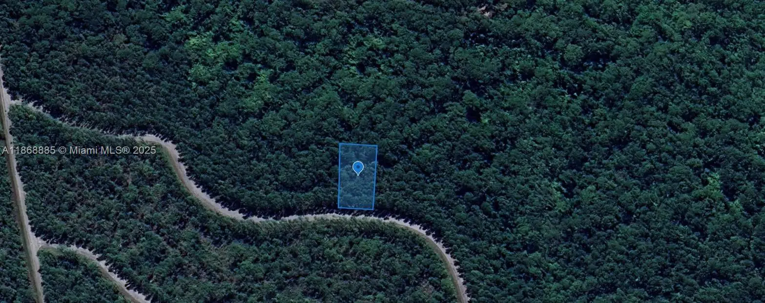 Photo of Listing #A11868885