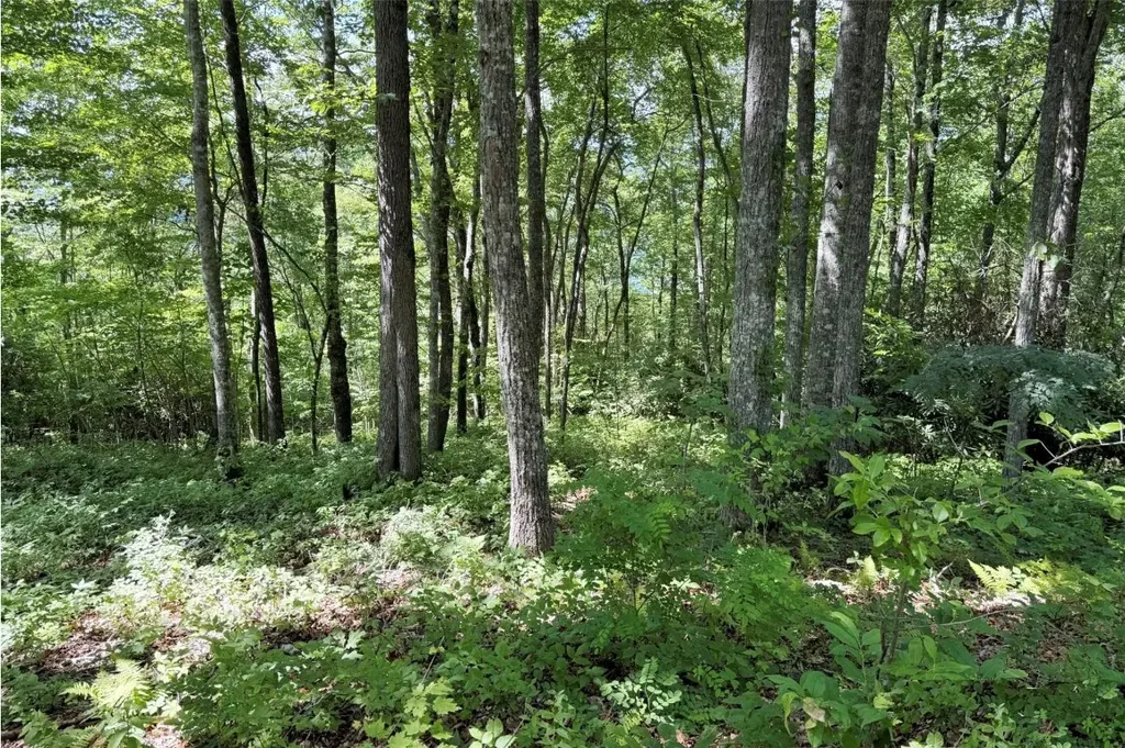 239 Cross Vine Drive, Tuckasegee