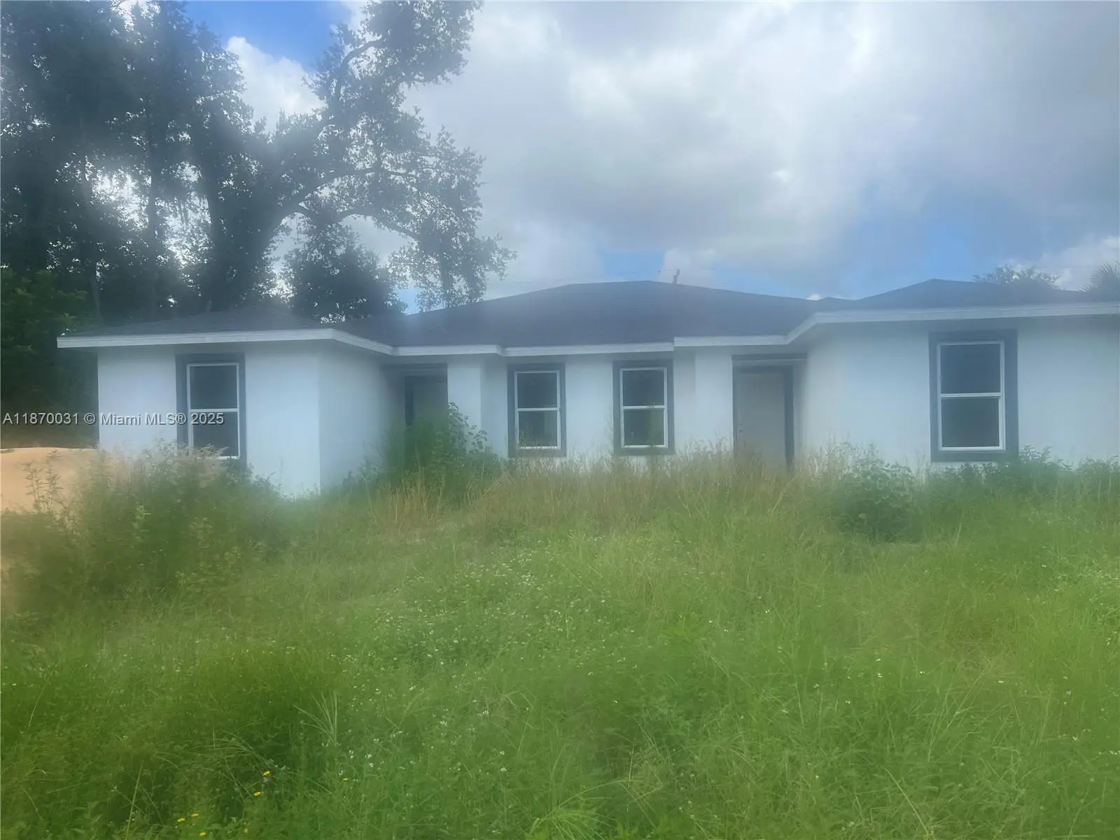 Photo of Listing #A11870031