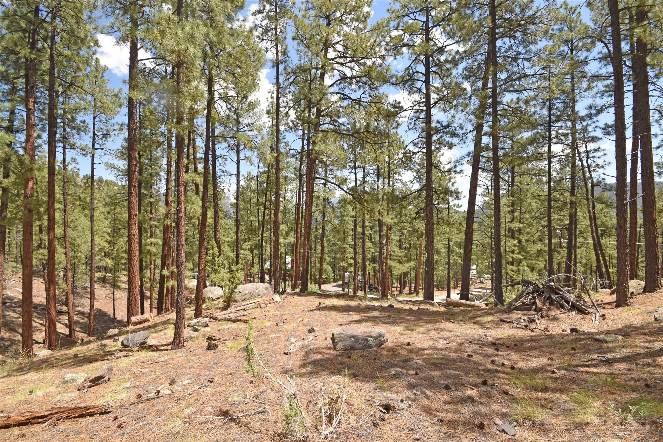 Lot 6a Cool Pines, Jemez Springs