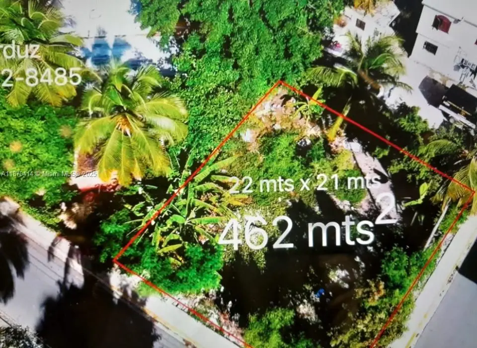 Photo of Listing #A11870414