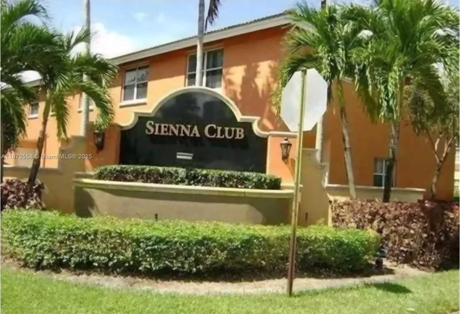 Photo of Listing #A11872558