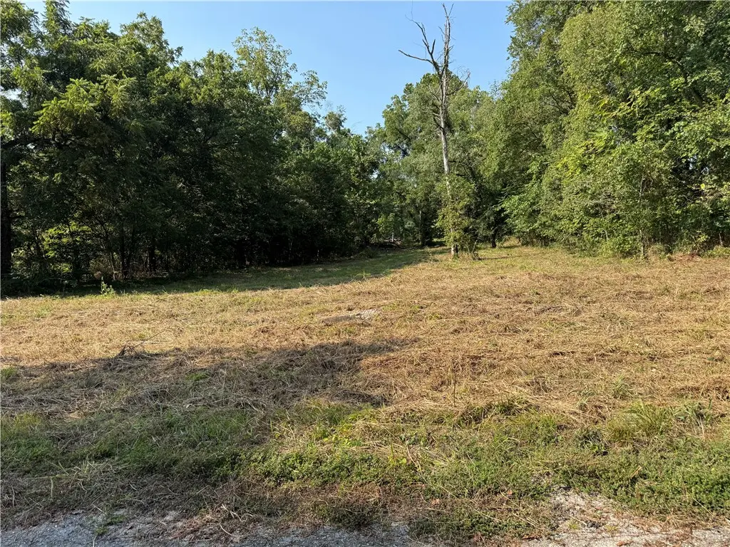 Tbd Spring Avenue, Sulphur Springs