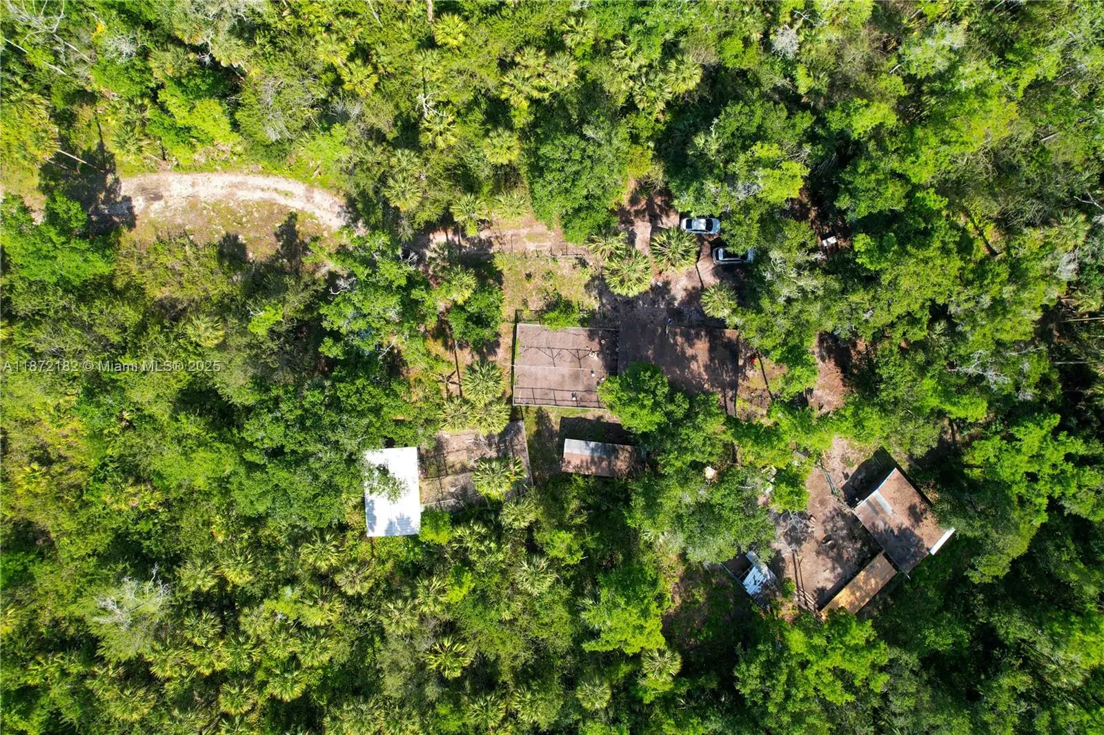 Photo of Listing #A11872182