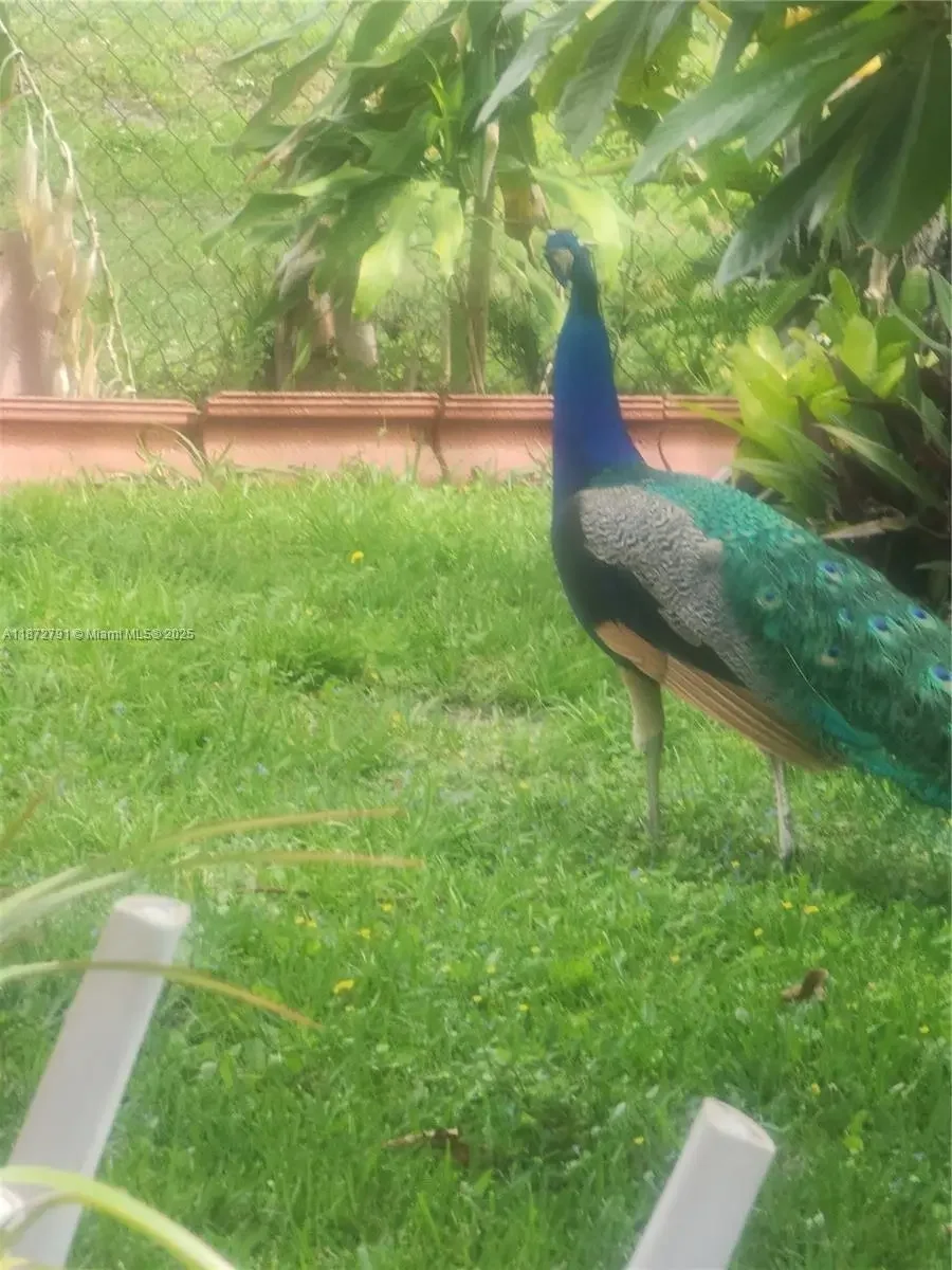 Photo of Listing #A11872791