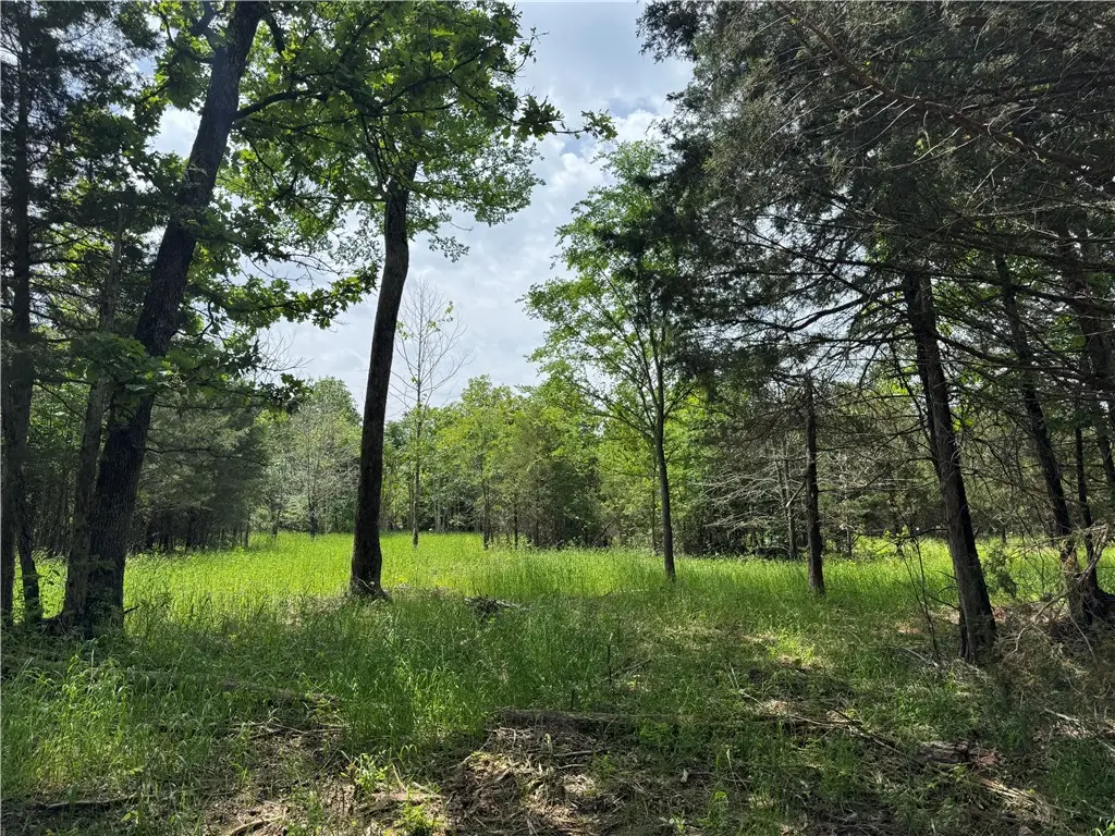 Tract 1b Downing Road, Elkins