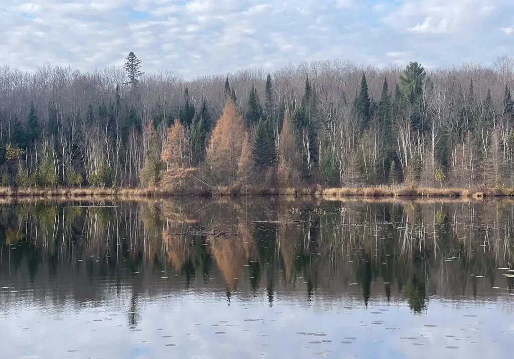 14463 Angel Crest Ln, Lakewood