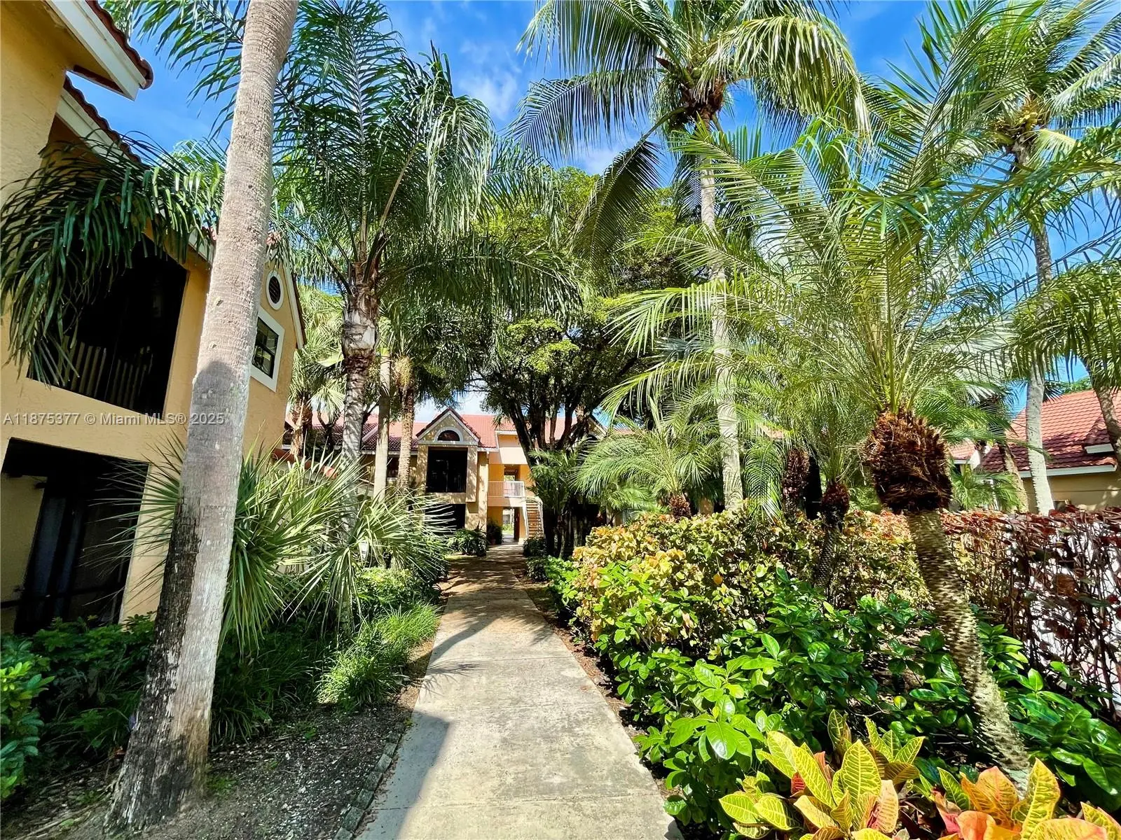 Photo of Listing #A11875377