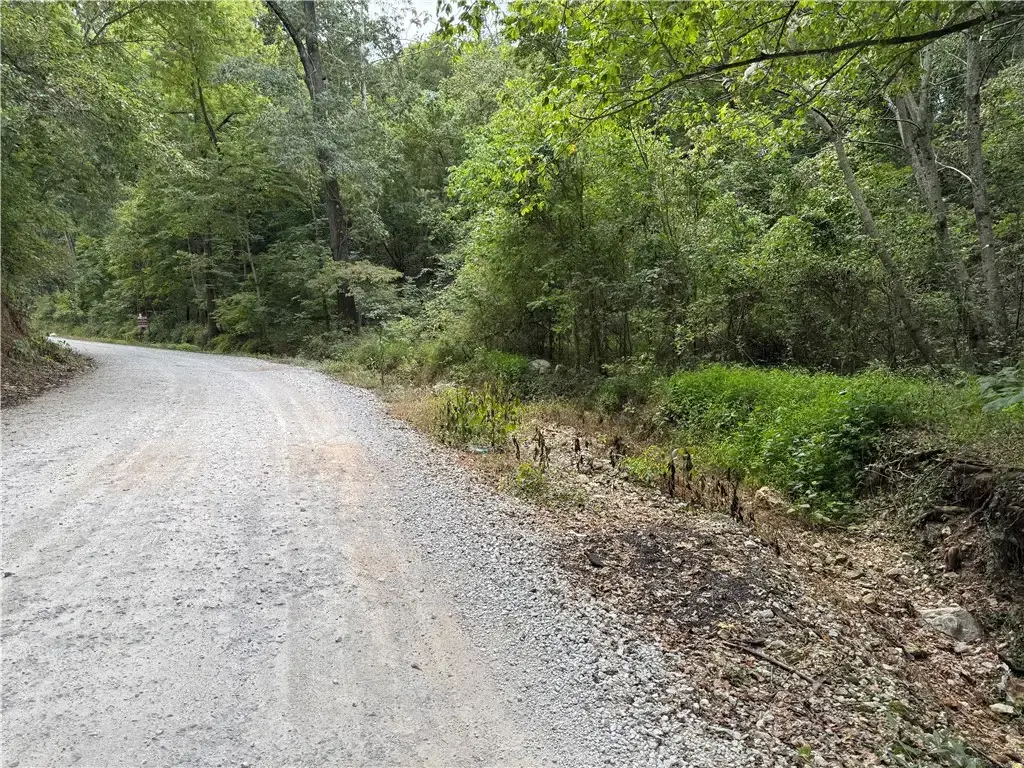 Lott Road, Elm Springs