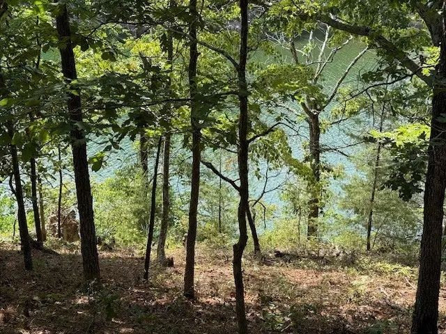 Lots 9,10,11 Lakeside Drive, Rogers