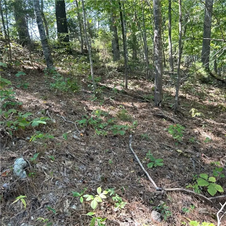 Railroad Cut Road, Rogers