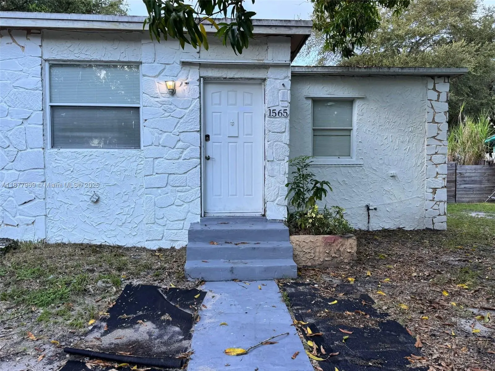 Photo of Listing #A11877969