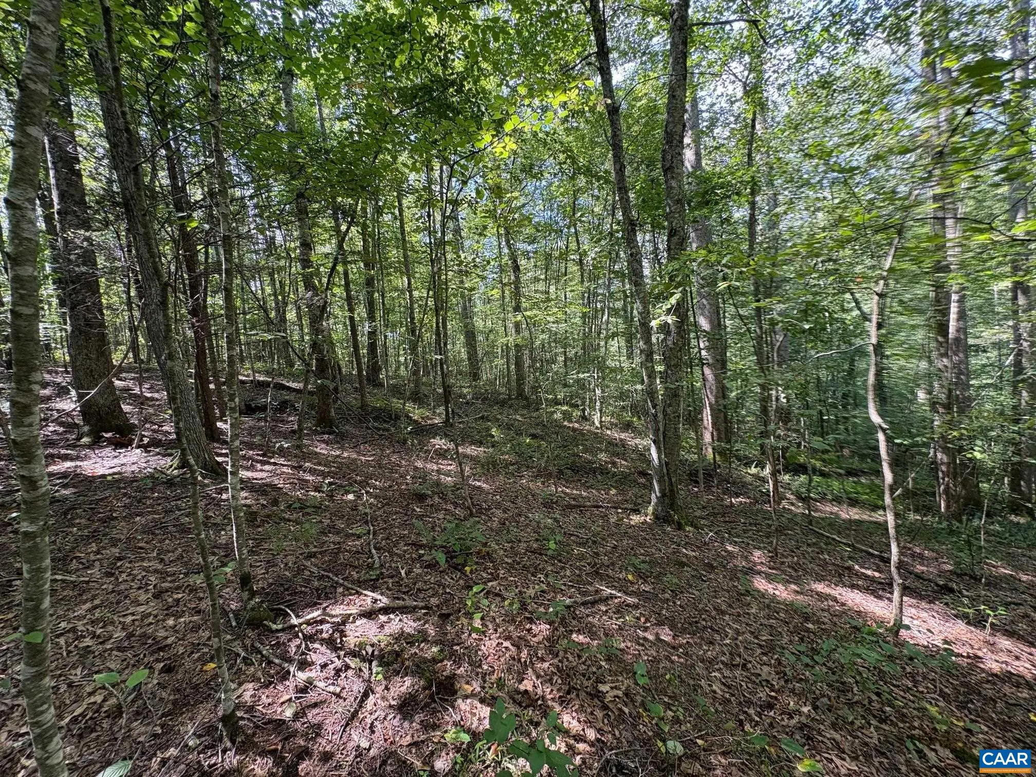Tm 24-1 Mitchell Mountain Rd, Haywood