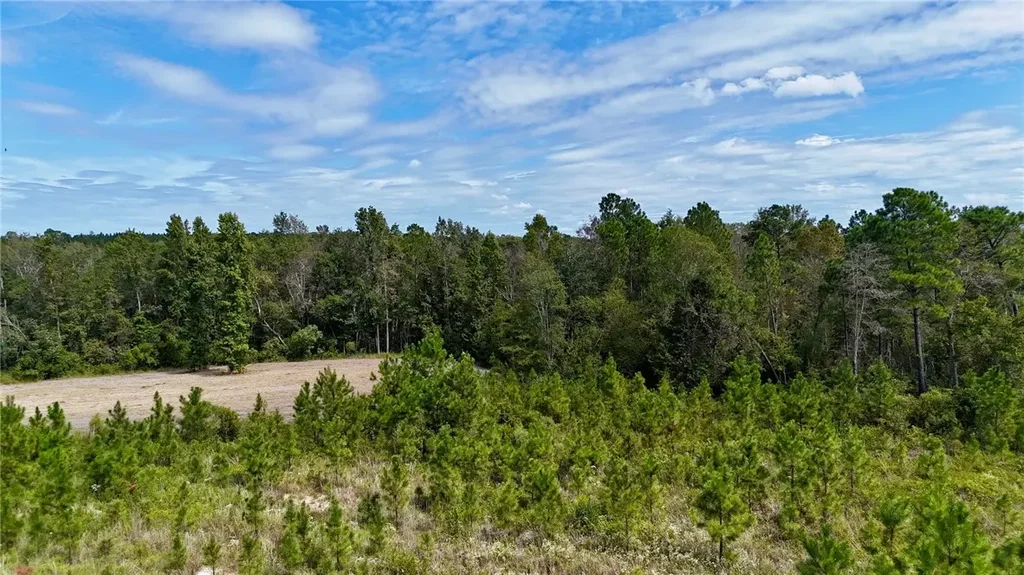 Ernest Carter Road, Other