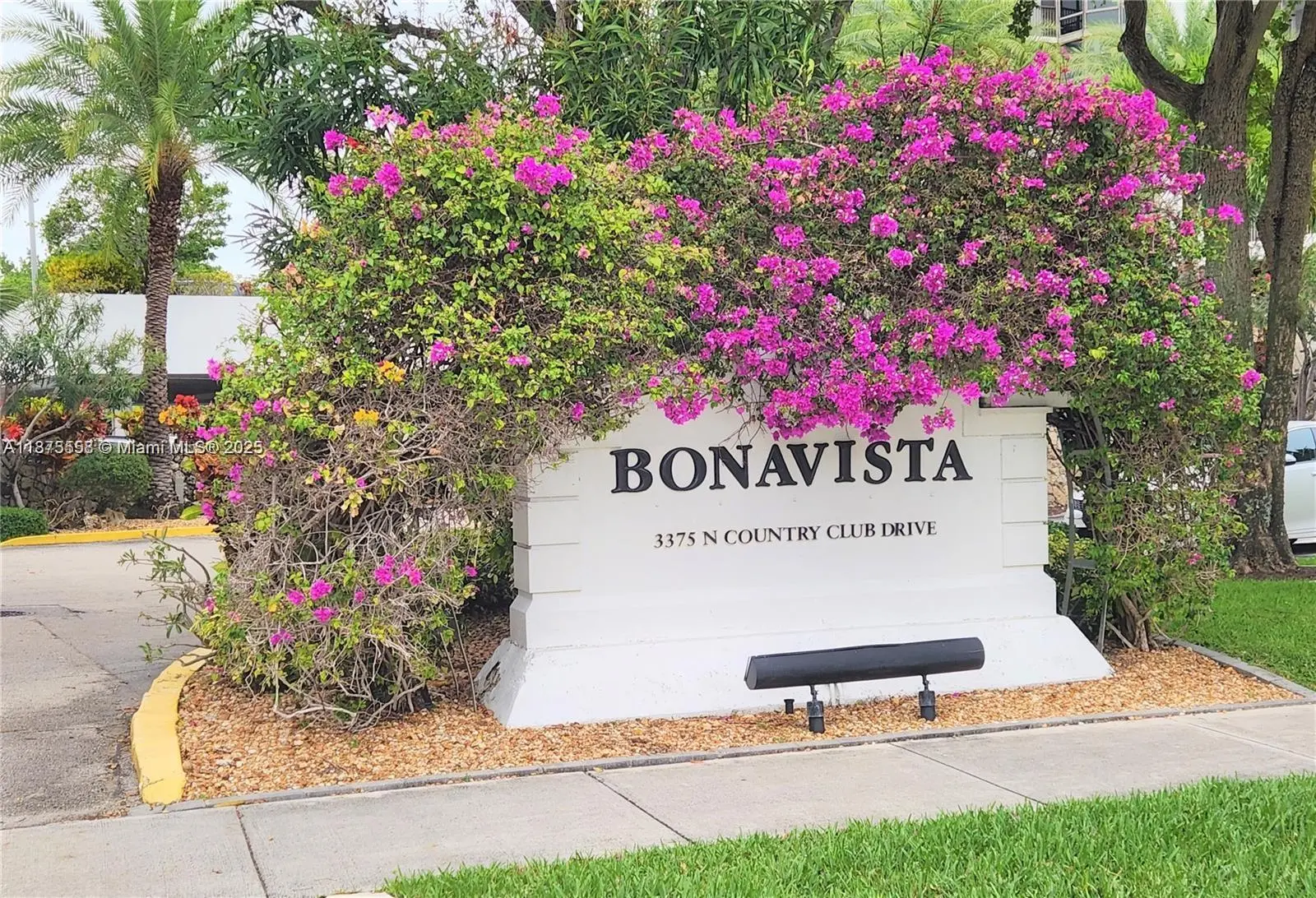 Photo of Listing #A11875558