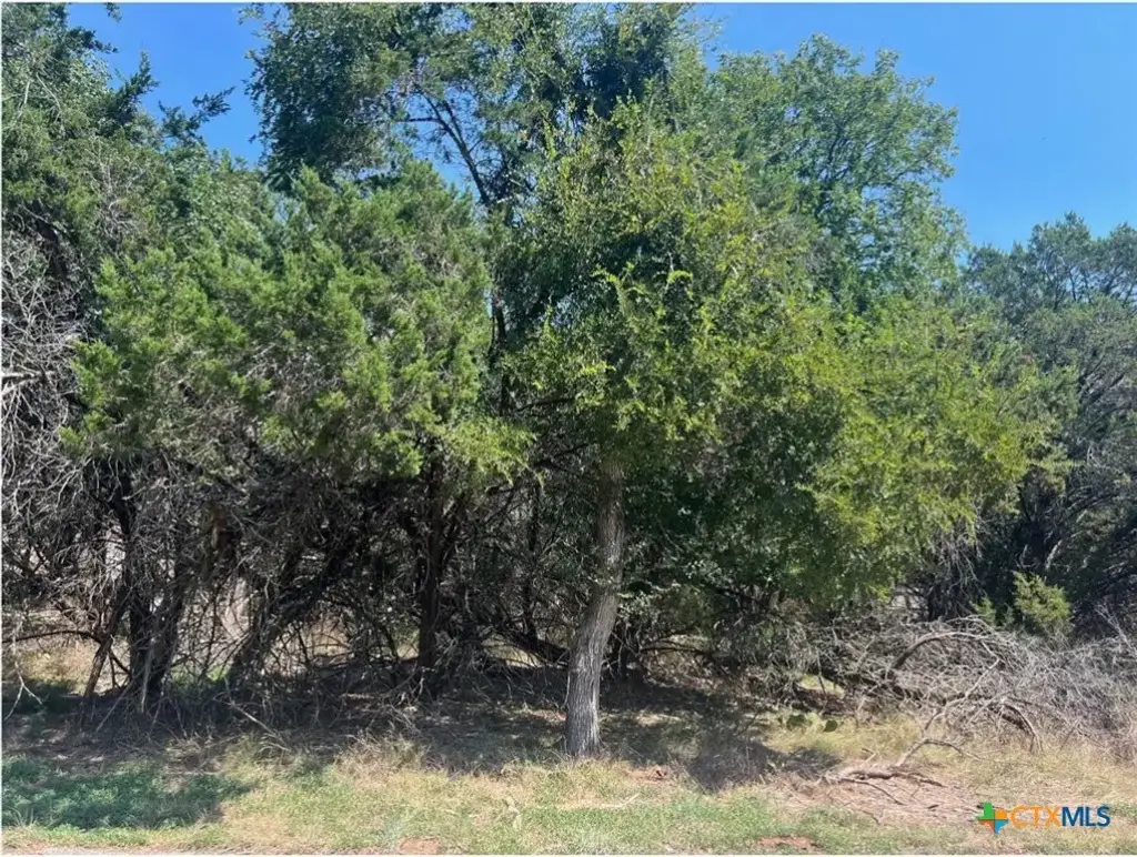 Lot 0010 Teakwood Loop, Morgans Point Resort