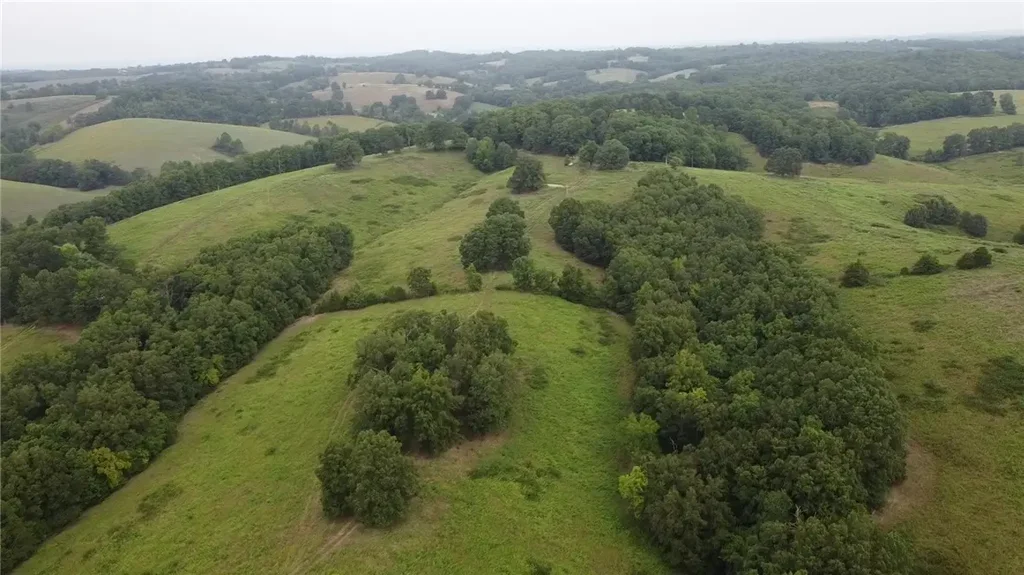 Barren Hollow, Marshall