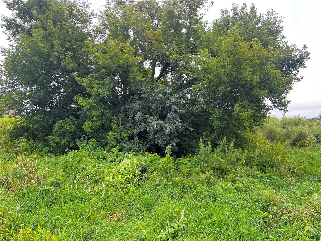 Lots 20 & 21 250th Street, Cadott