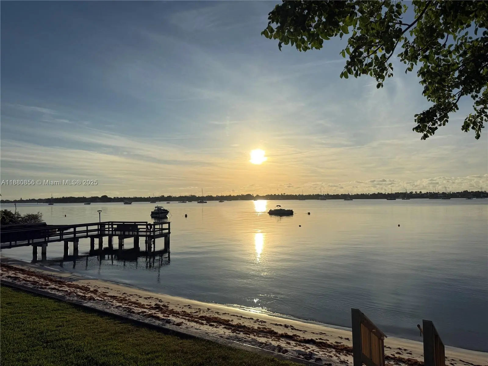 Photo of Listing #A11880856