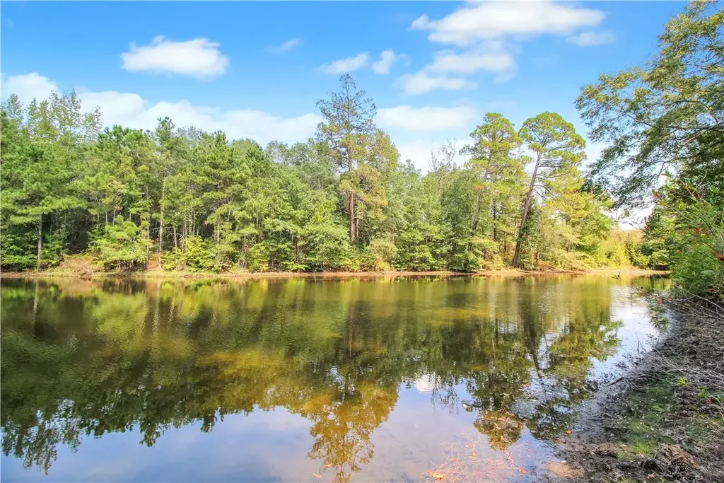 1004 Lee Rd 157, Opelika