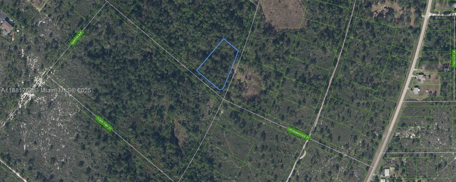 Photo of Listing #A11881752