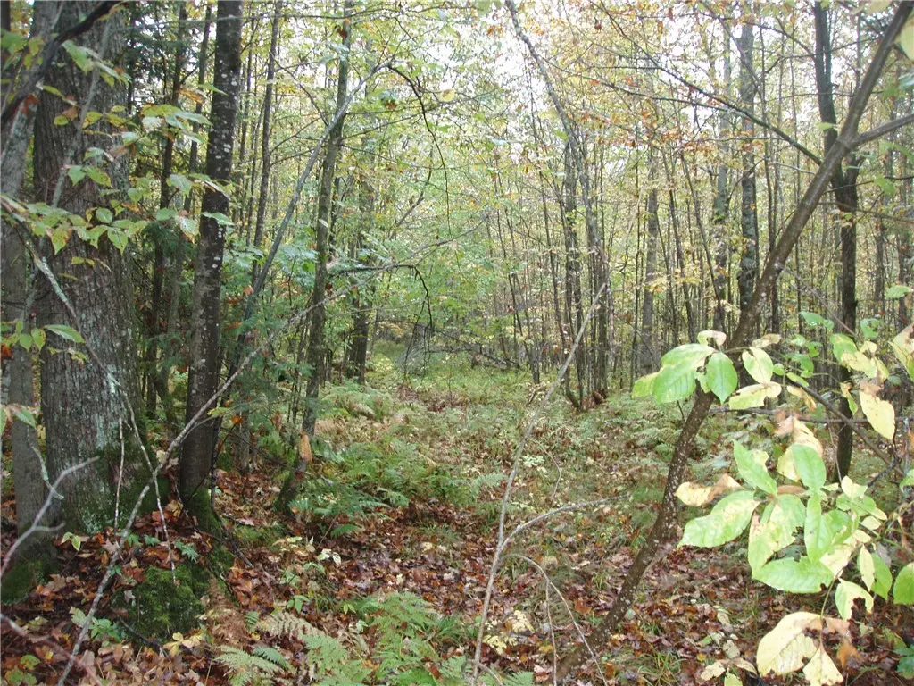 80+/- Acres On Bass Lake Road, Park Falls
