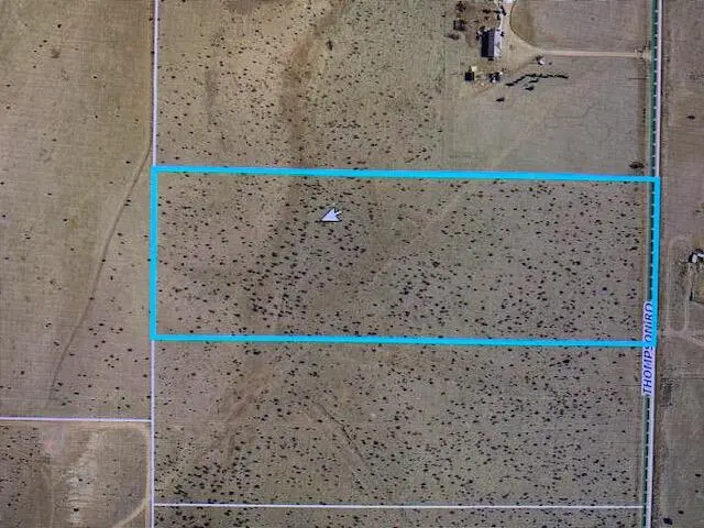 315 Thompson Road, Edgewood