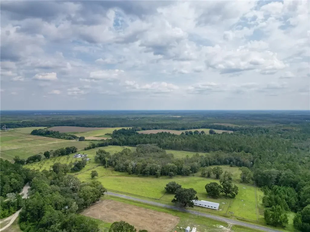 30 Acres Hodges Road, Hinesville