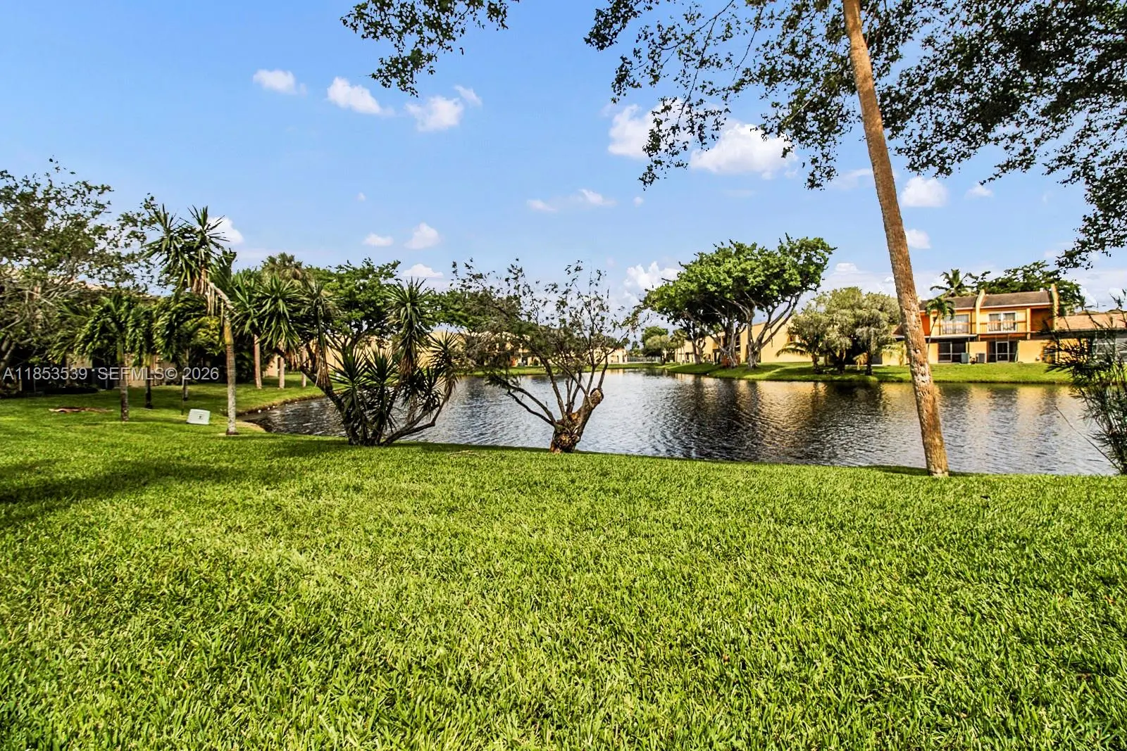 Photo of Listing #A11853539