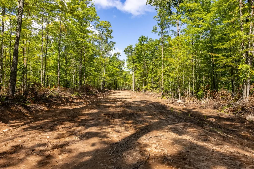 40 Acres Ison Rd, Crandon