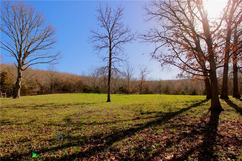 Madison 3370, Witter