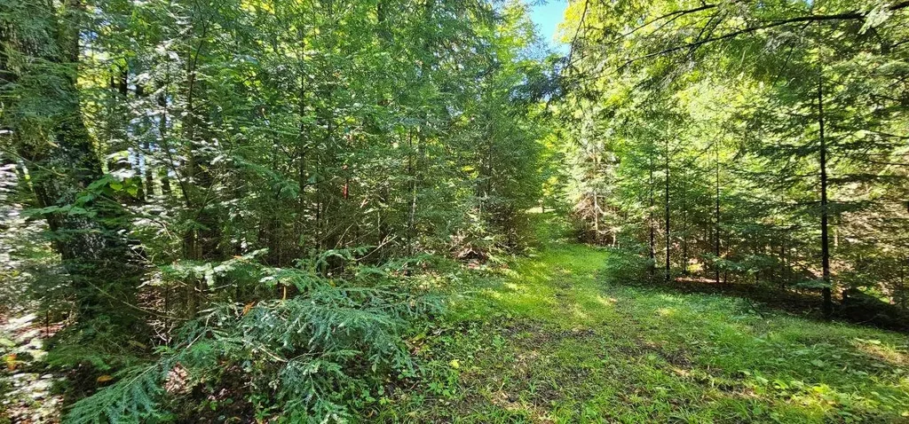 Lot2 Off Golf Course Dr, Mercer